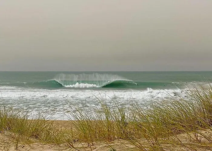 Surf And Stones פניש
