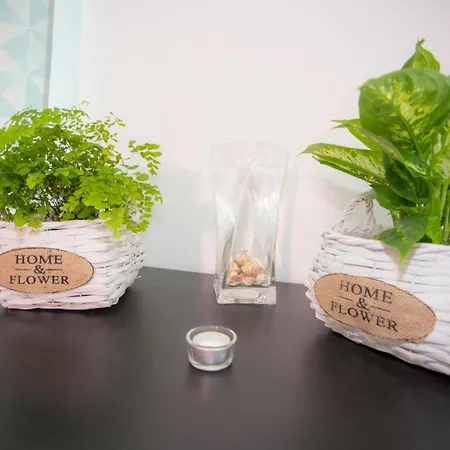 Surf And Stones 佩尼契